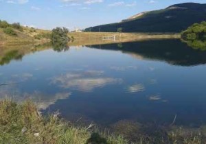 Перник, новини Перник, Росен Русимов, огромен толстолоб, тото милионер, тото милионер Росен Русимов, тото милионер Росен, милионер Росен